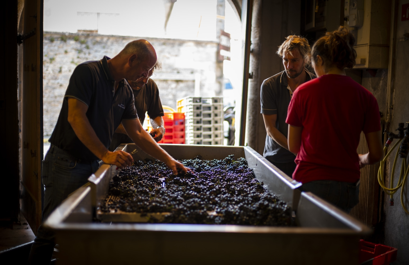 Domaine - Chandon de Briailles