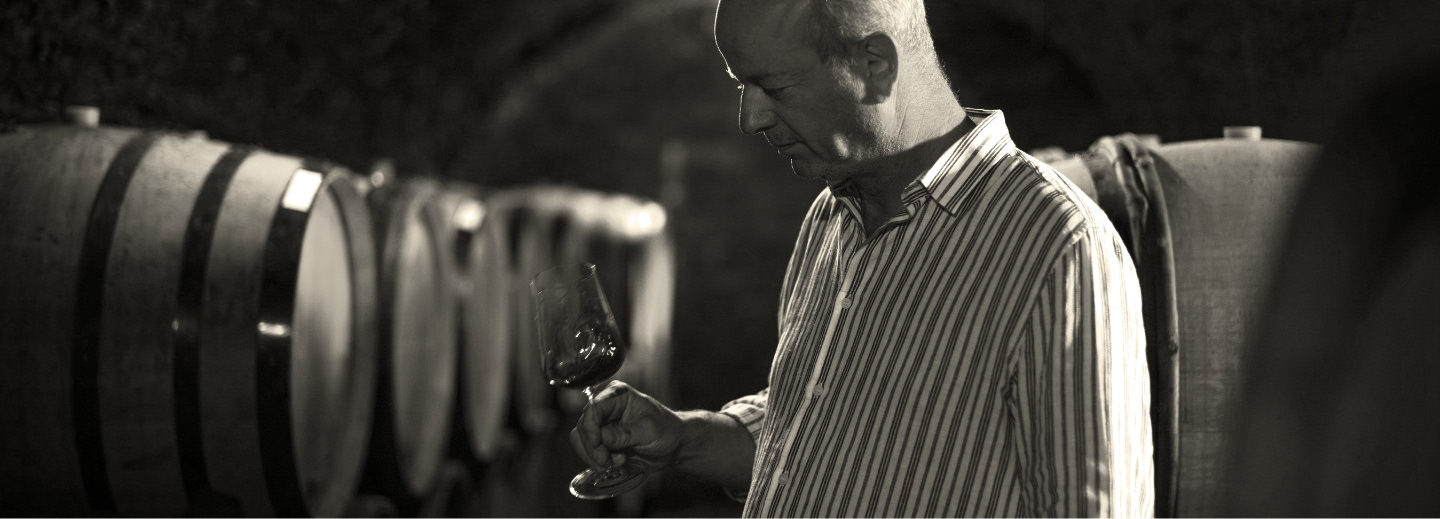 les catégories de vins au domaine Chandon de Briailles à Savigny-lès-beaune