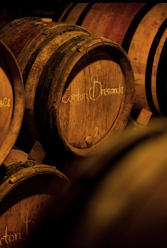 Domaine - Chandon de Briailles